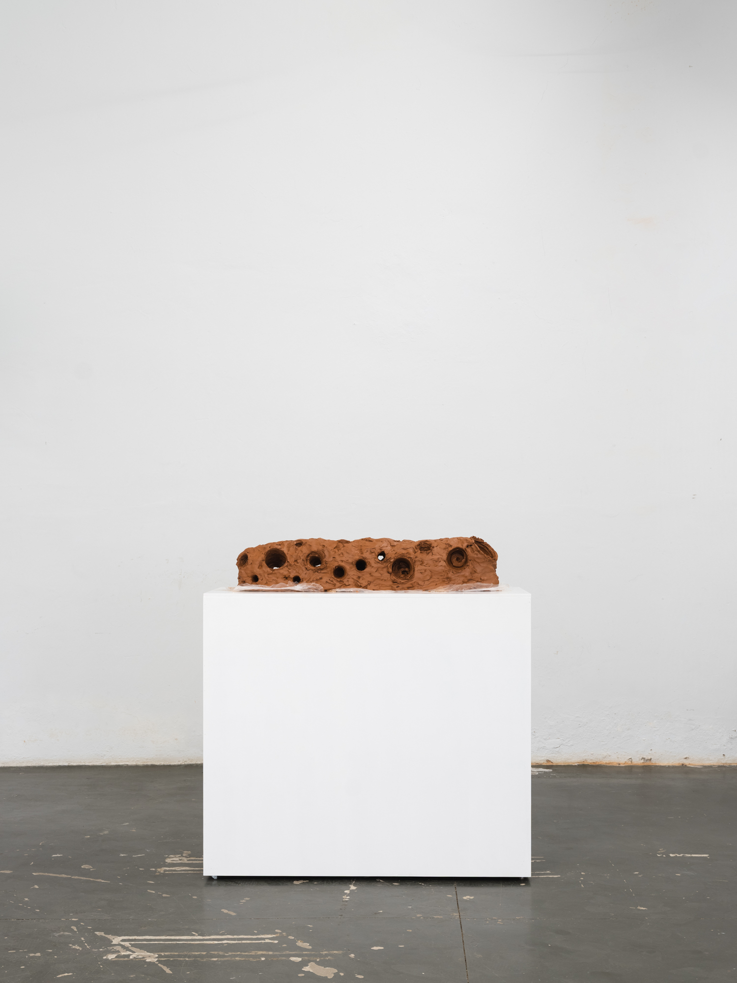 Obra de Ricardo Trigo
