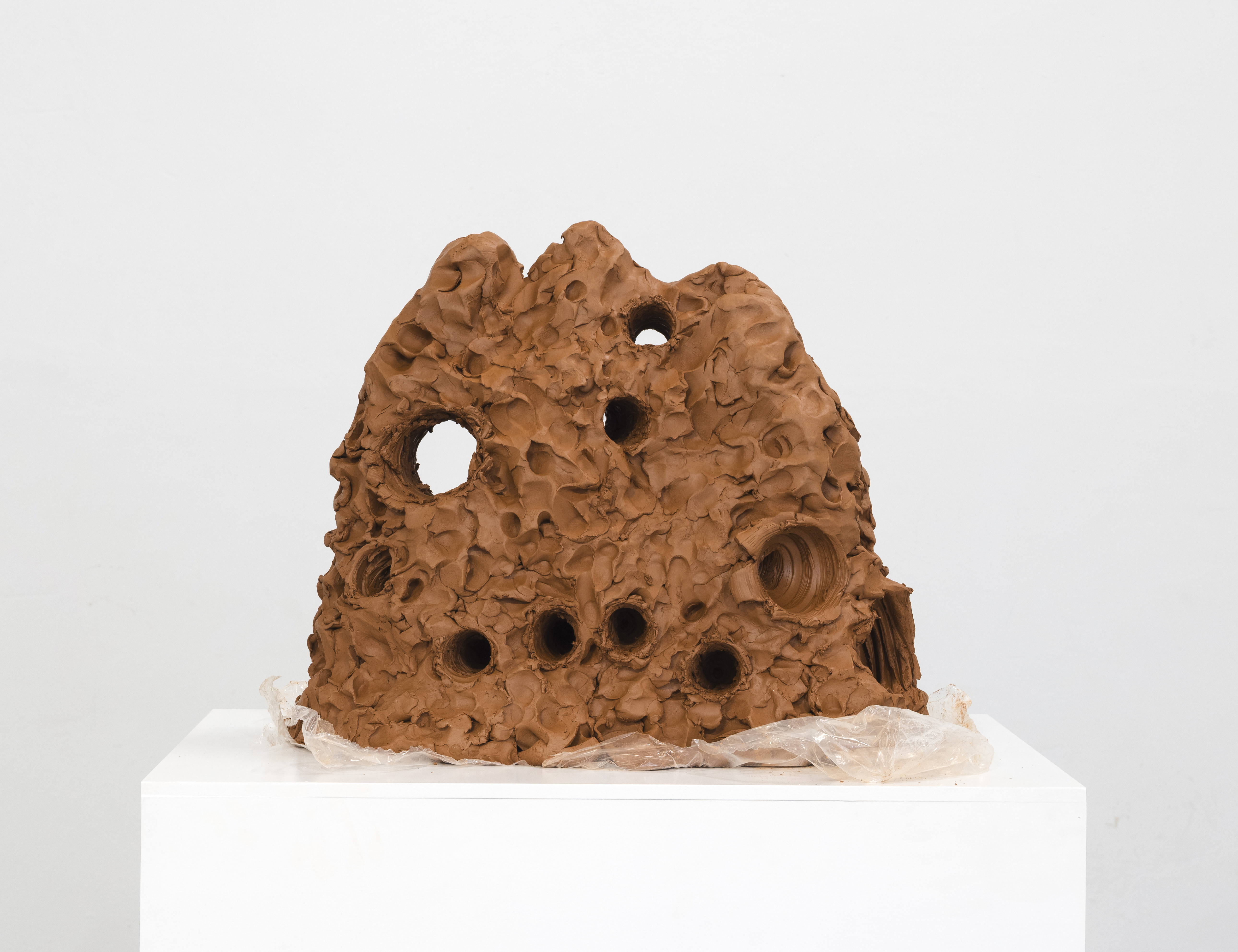 Obra de Ricardo Trigo