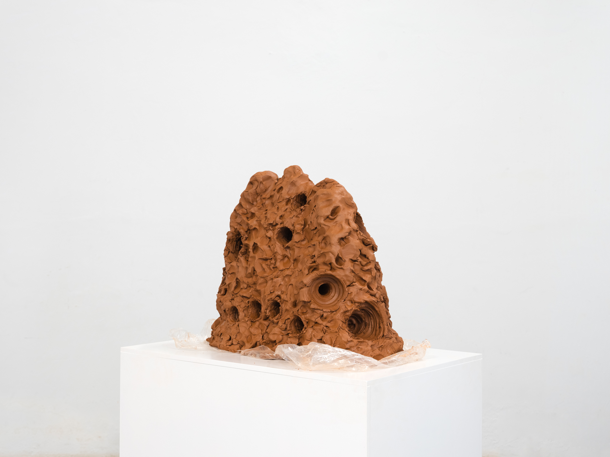 Obra de Ricardo Trigo