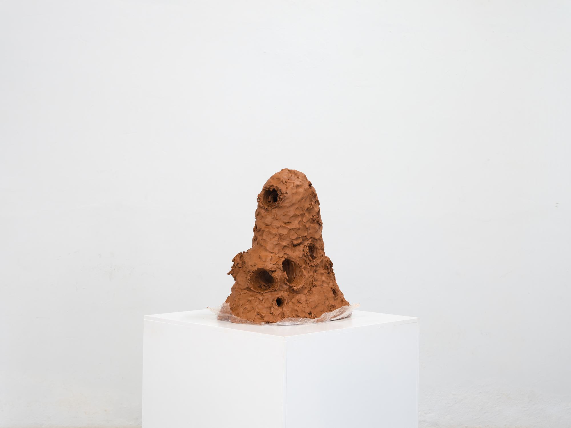 Obra de Ricardo Trigo