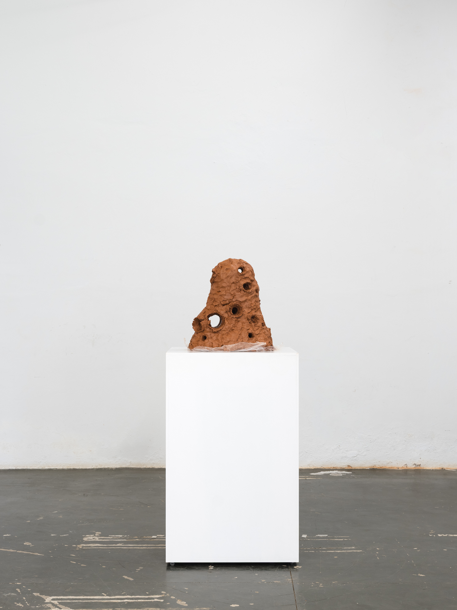 Obra de Ricardo Trigo