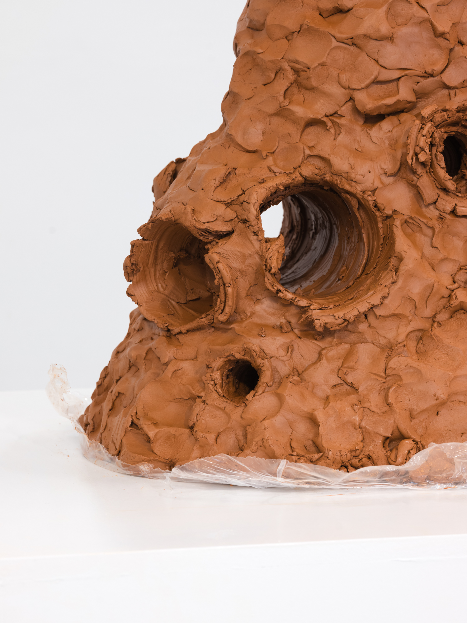 Obra de Ricardo Trigo
