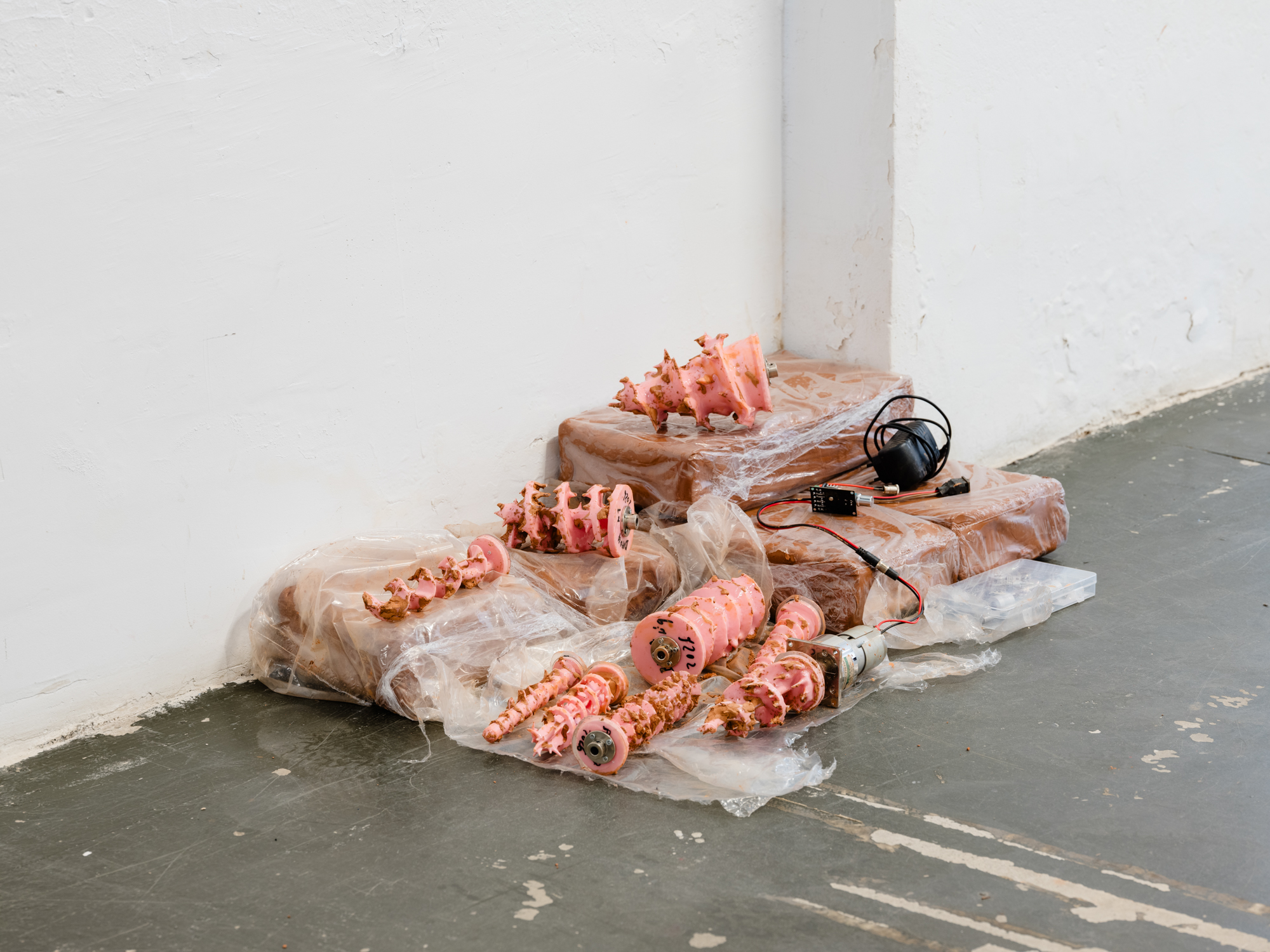Obra de Ricardo Trigo