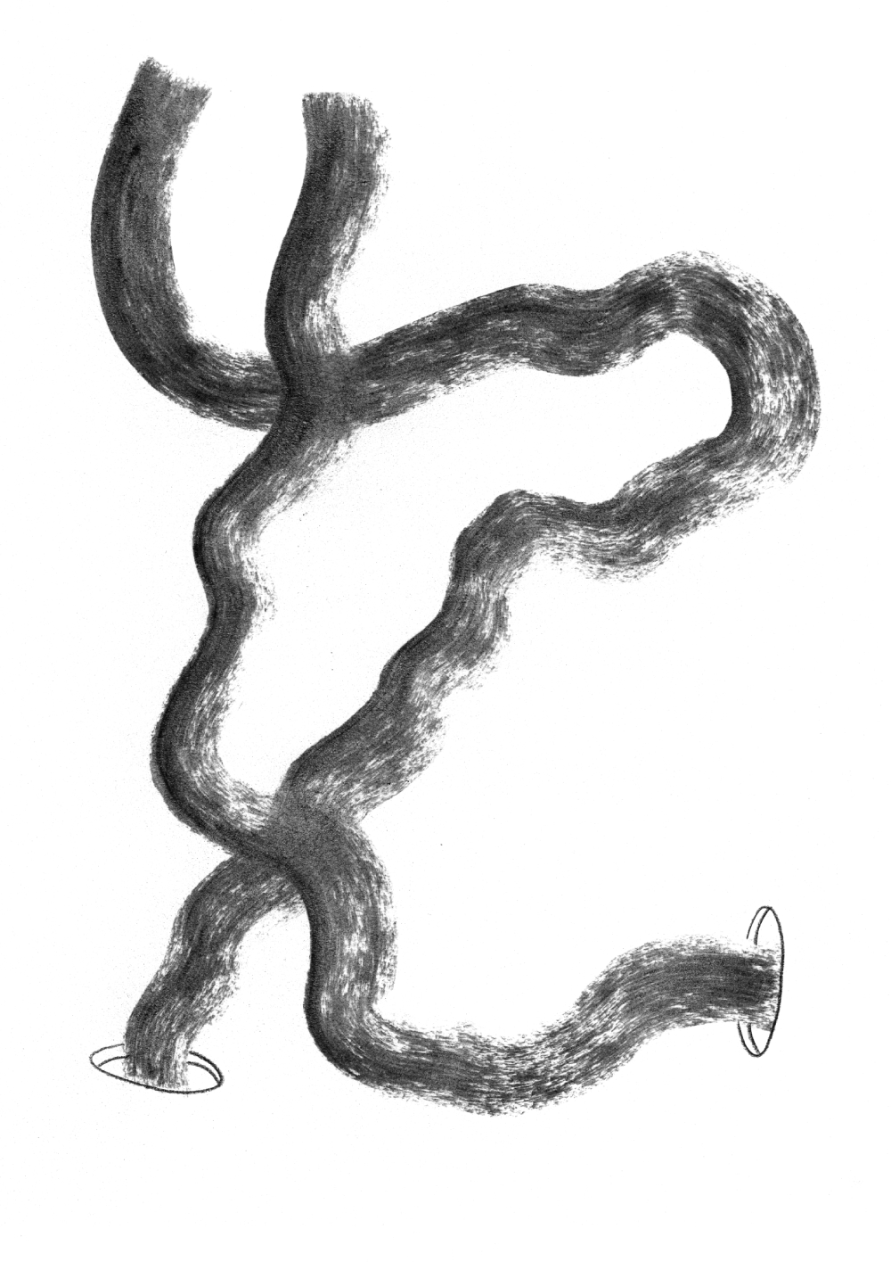Obra de Ricardo Trigo