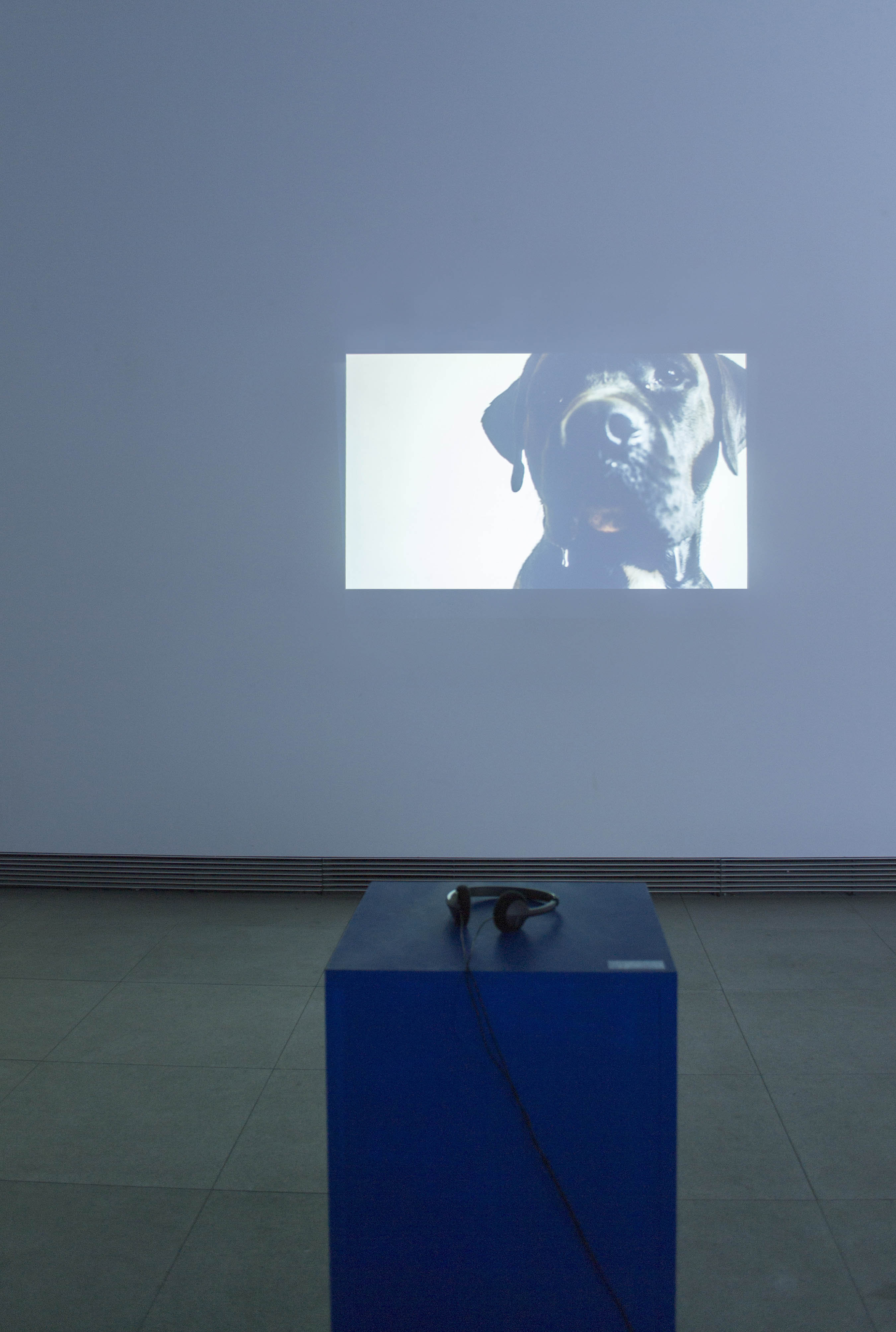 Obra de Ricardo Trigo