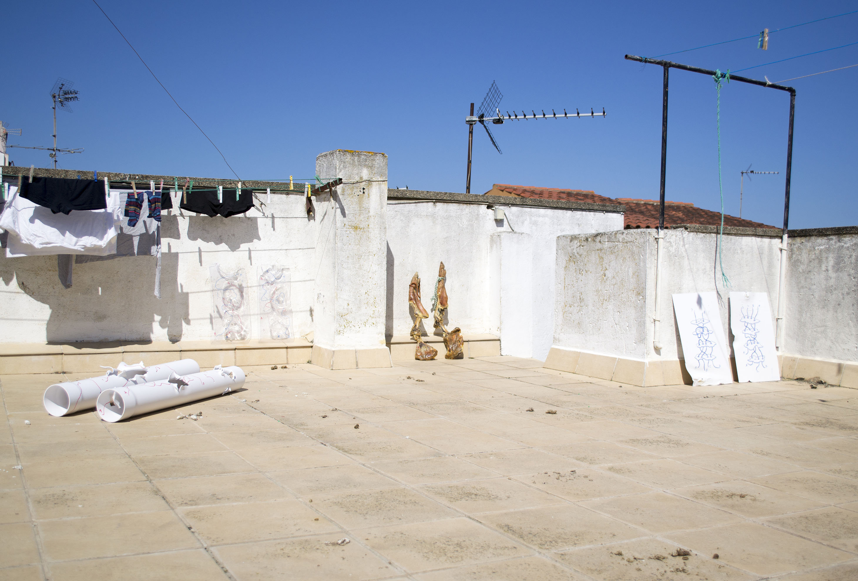 Obra de Ricardo Trigo
