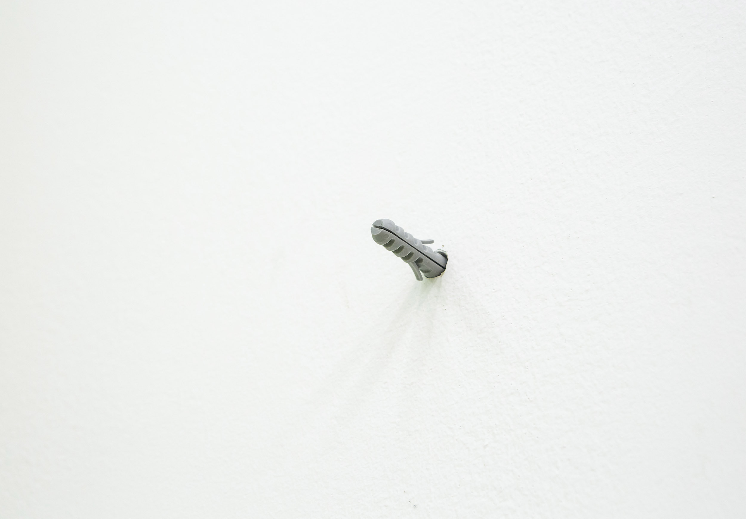 Obra de Ricardo Trigo