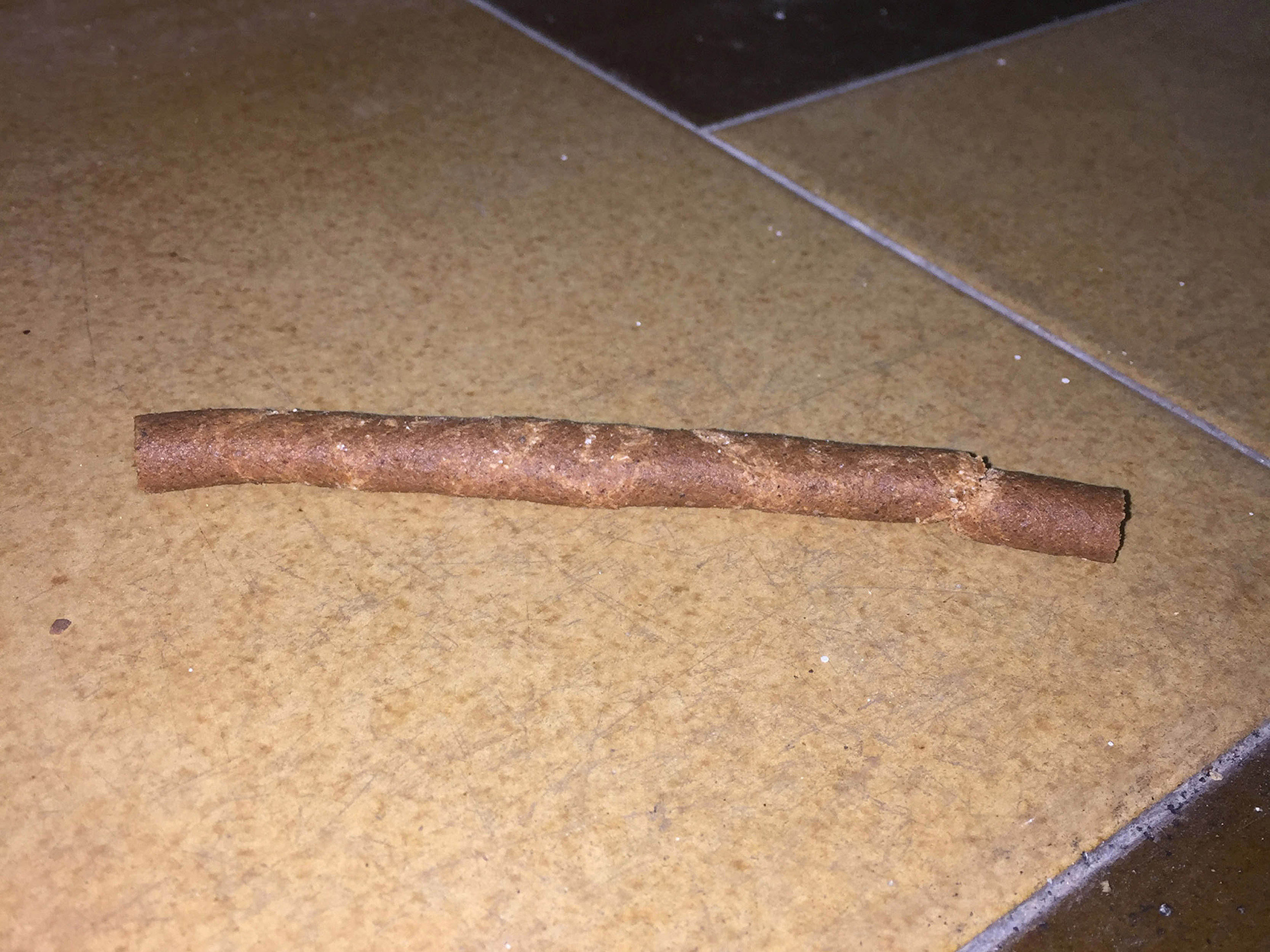 Untitled, 2018 Dog food bitten by human
