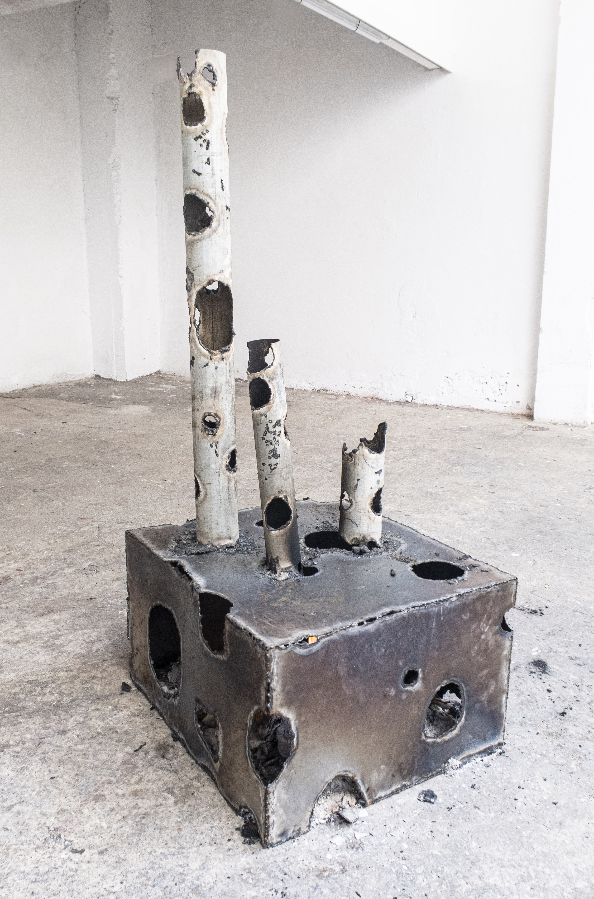 Obra de Ricardo Trigo