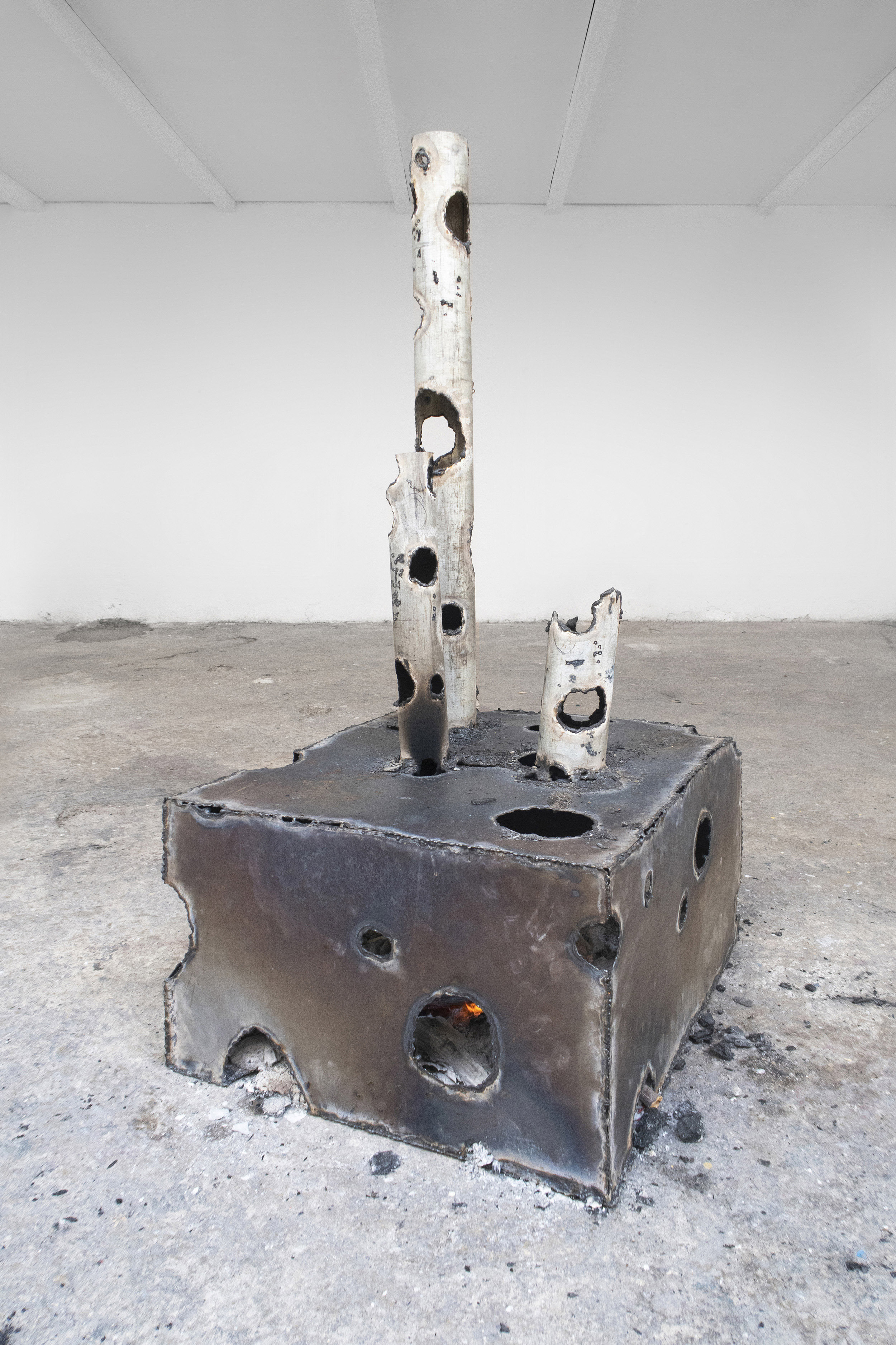 Obra de Ricardo Trigo
